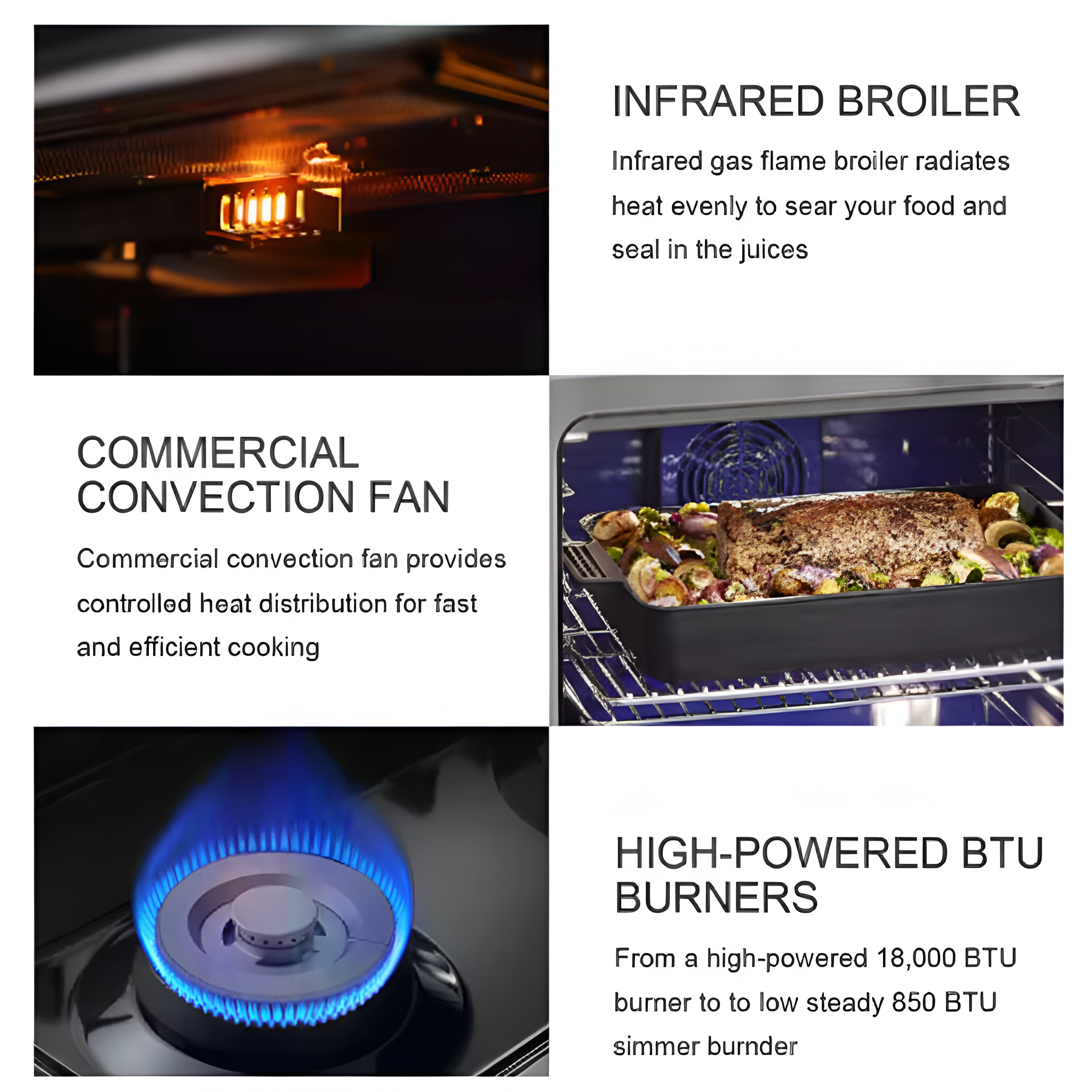 Crownford Atelier Pro 6-Burner Stainless Gas Range & Oven